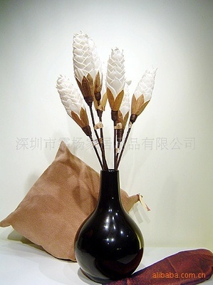 家居美學新藍海 高端植物干花與仿真花區(qū)域代理招募計劃